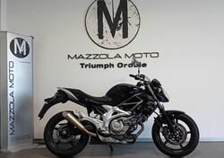 Suzuki Gladius 650 SFV (2009 - 15) usata
