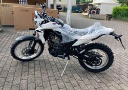 Betamotor Alp 4.0 (2024 - 25) nuova