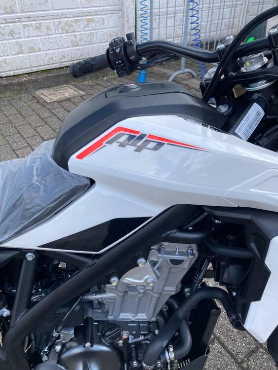 Betamotor Alp 4.0 (2024 - 25) (4)