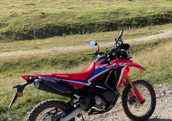 Honda CRF 300 Rally (2021 - 24) usata