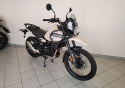 Royal Enfield Himalayan 450 (2024 - 25) nuova