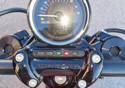 Harley-Davidson 1200 Roadster (2017 - 20) - XL 1200R usata