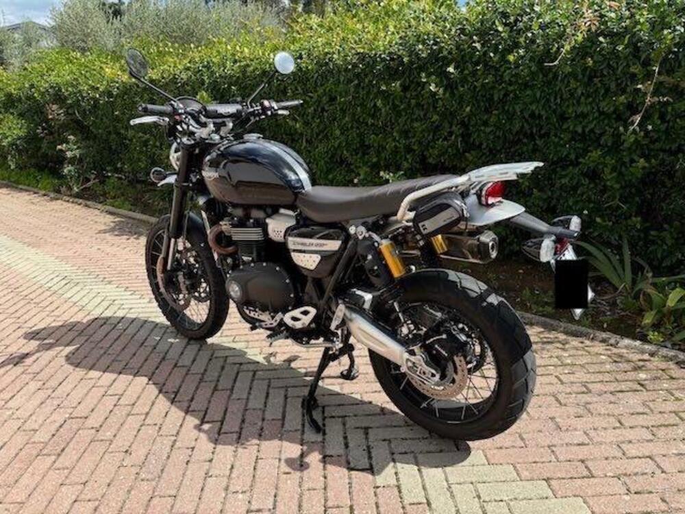 Triumph Scrambler 1200 XC (2019 - 20) (5)