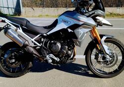 Triumph Tiger 900 Rally (2020 - 23) usata
