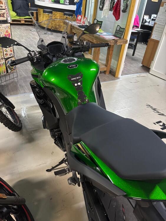 Kawasaki Ninja 1100 SX SE (2025 - 26) (4)