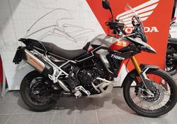 Triumph Tiger 900 Rally Pro (2024 - 25) usata