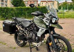 Triumph Tiger 800 XCx (2018 - 20) usata
