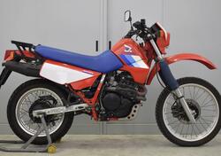 Honda XL 600 d'epoca