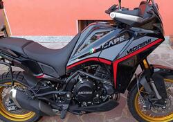 Moto Morini X-Cape 650 Gold Wheels Edition (2022 - 25) usata