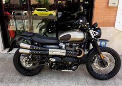 Triumph Street Scrambler 900 (2021 - 22) usata