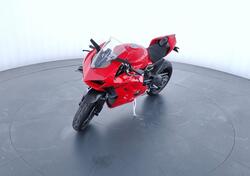 Ducati Panigale V4 (2022 - 24) usata