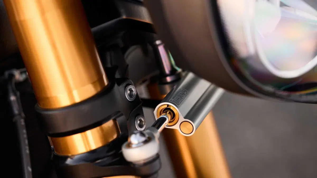 Triumph Speed Triple 1200 Speed Triple 1200 RX (2025 - 26) (10)