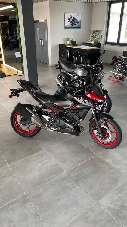 Kawasaki Z 500 SE (2024 - 25) (4)