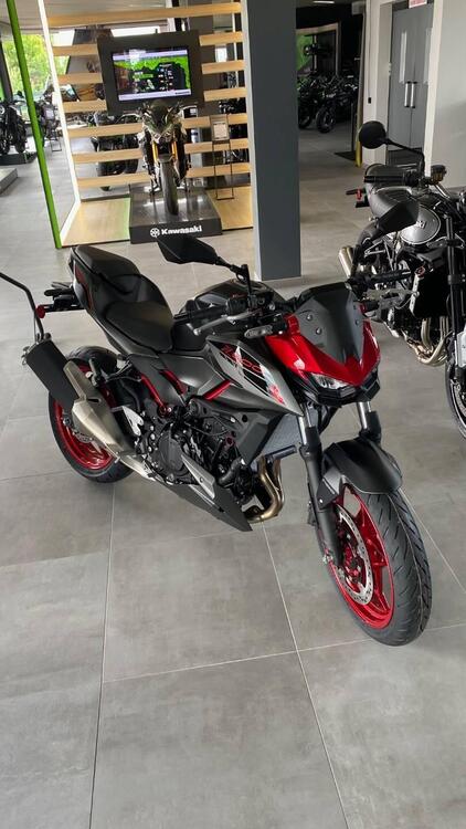 Kawasaki Z 500 SE (2024 - 25) (5)
