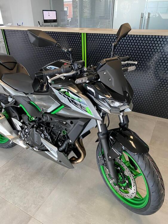 Kawasaki Z 500 SE (2024 - 25) (2)