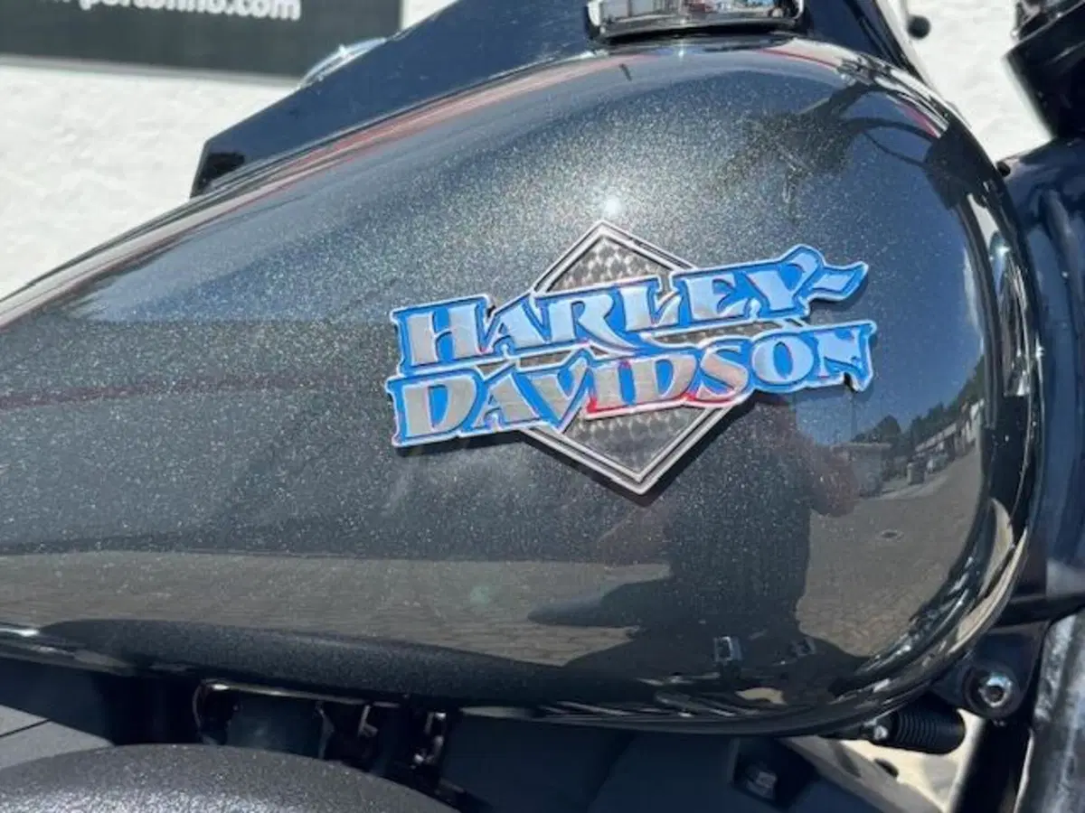 Harley-Davidson 1450 Night Train (2002 - 05) - FXSTBI (7)