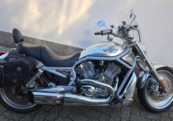 Harley-Davidson 1130 V-ROD (2002 - 05) - VRSCB usata