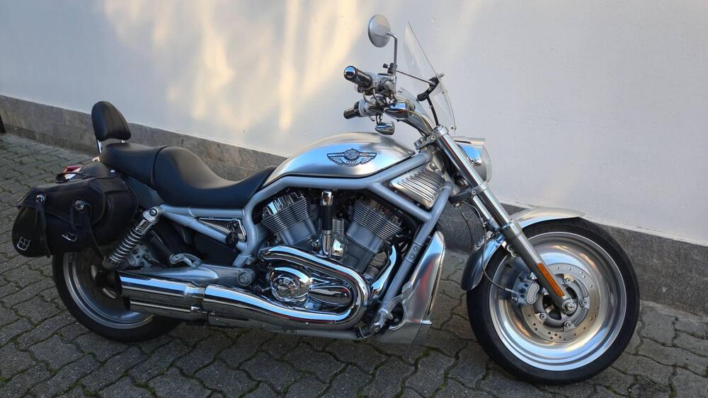 Harley-Davidson 1130 V-ROD (2002 - 05) - VRSCB (3)