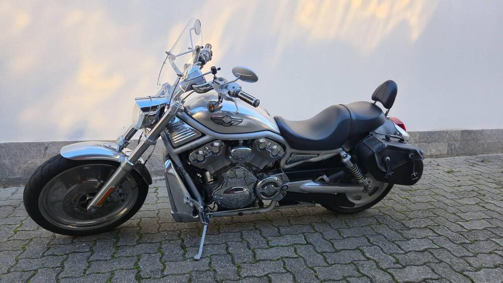 Harley-Davidson 1130 V-ROD (2002 - 05) - VRSCB (4)