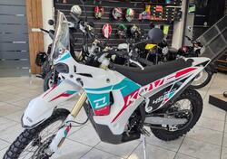 Kove 450 Rally High (2025) nuova