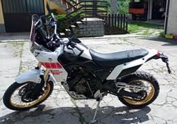 Yamaha Ténéré 700 Rally Edition (2022 - 24) usata