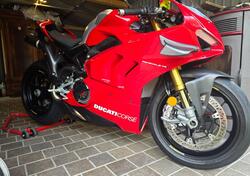 Ducati Panigale V4 R 1000 (2019 - 20) usata