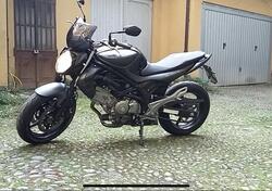Suzuki Gladius 650 SFV ABS (2009 - 15) usata