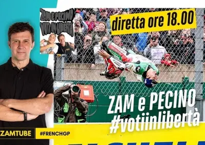 zam e pecino: voti in libertà [VIDEO]