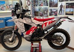 Fantic Motor XEF 450 Rally (2023 - 25) usata