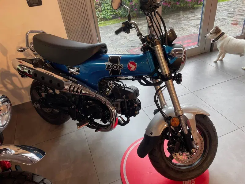 Honda Dax 125 (2025 - 26)