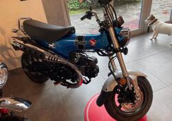 Honda Dax 125 (2025) nuova