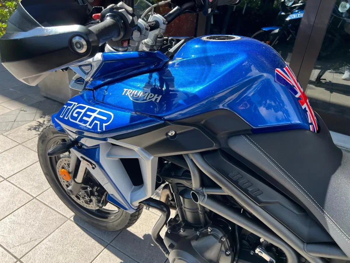 Triumph Tiger 800 XRx (2018 - 20) (7)