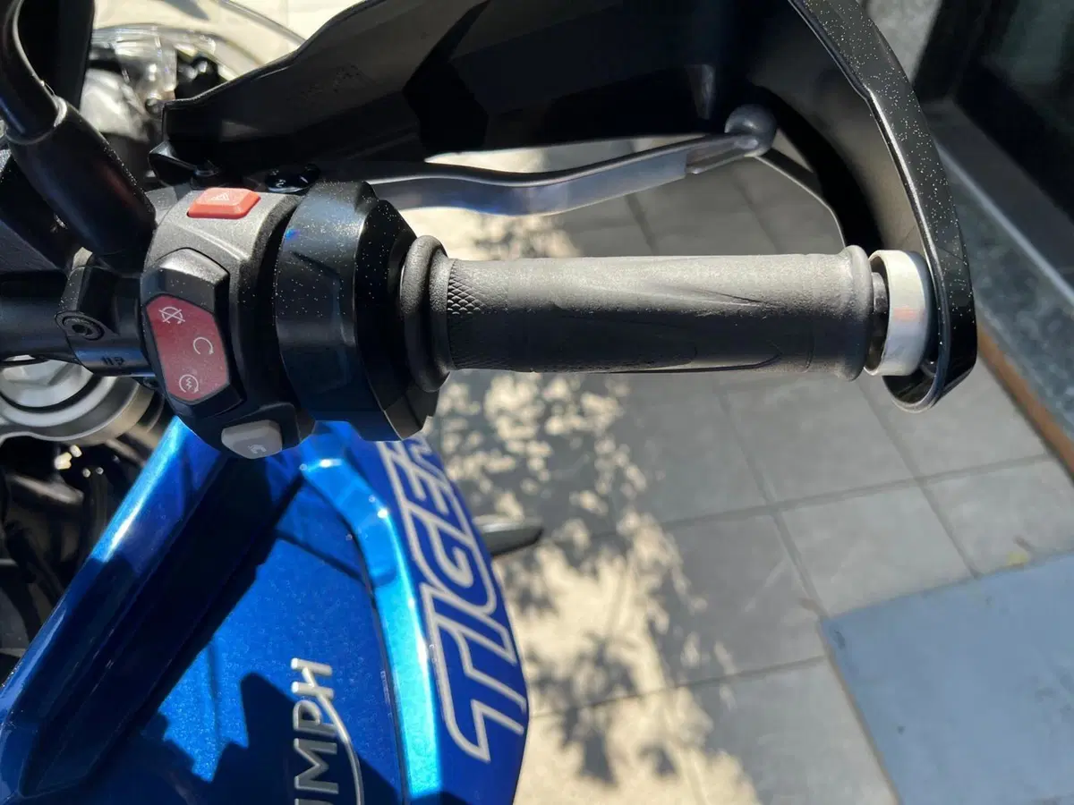 Triumph Tiger 800 XRx (2018 - 20) (13)