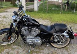 Harley-Davidson 883 Standard (2001 - 05) - XL 883 usata