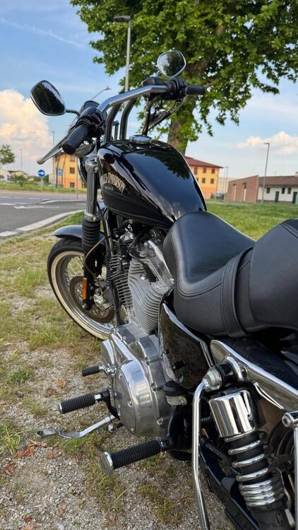 Harley-Davidson 883 Standard (2001 - 05) - XL 883 (5)