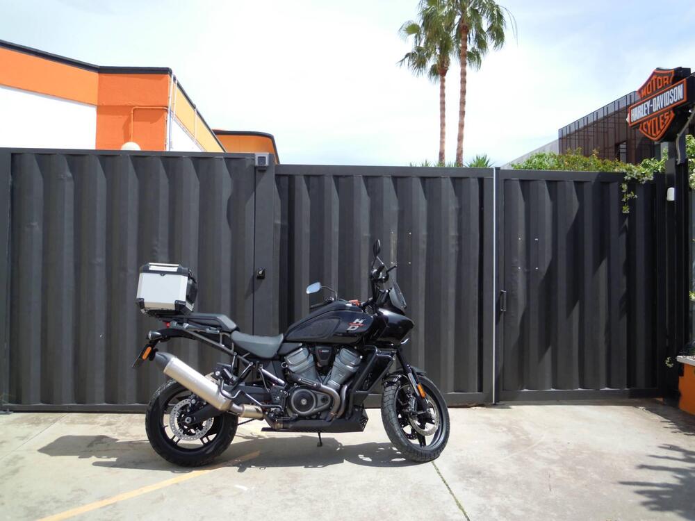 Harley-Davidson Pan America 1250 (2020 - 25)