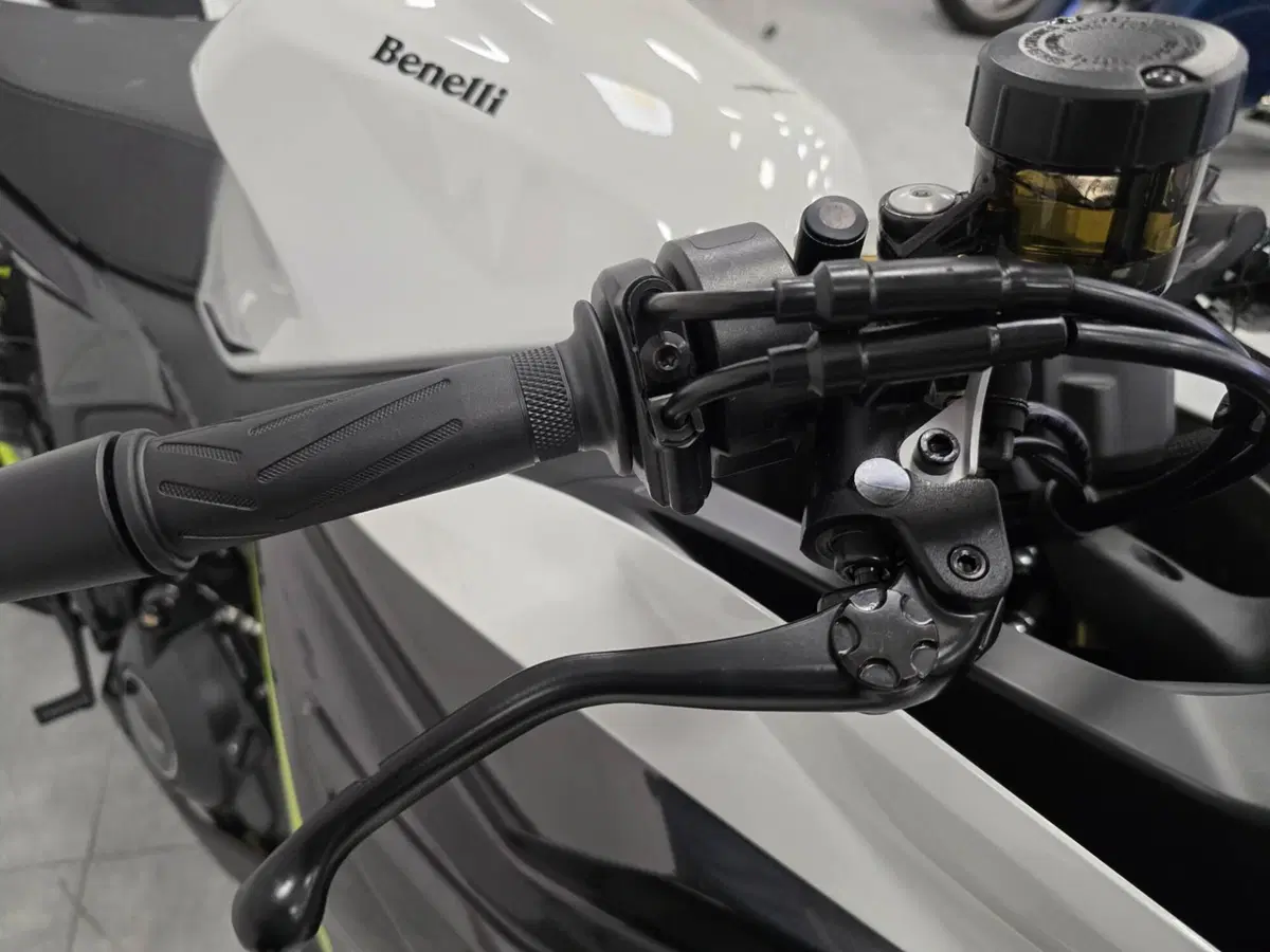 Benelli Tornado 550 (2025 - 26) (6)