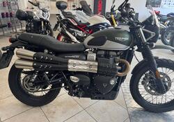 Triumph Street Scrambler 900 (2021 - 22) usata