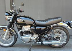 Kawasaki W 800 (2021 - 25) nuova