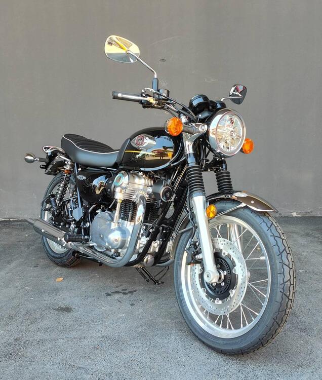 Kawasaki W 800 (2021 - 25) (3)