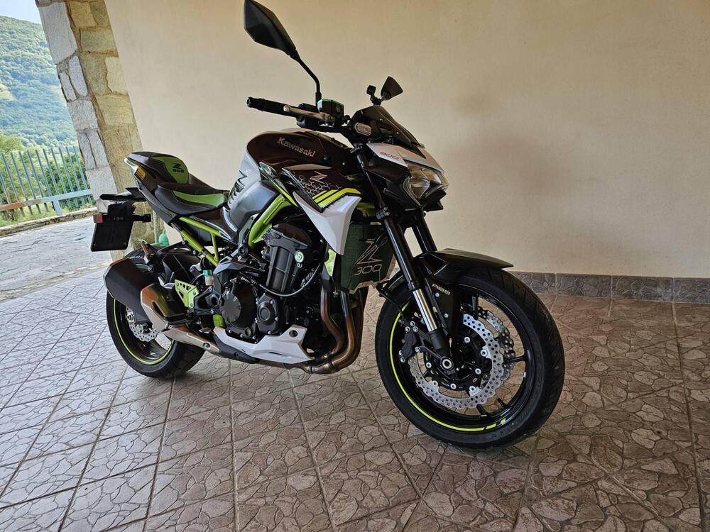Kawasaki Z 900 (2020) (3)