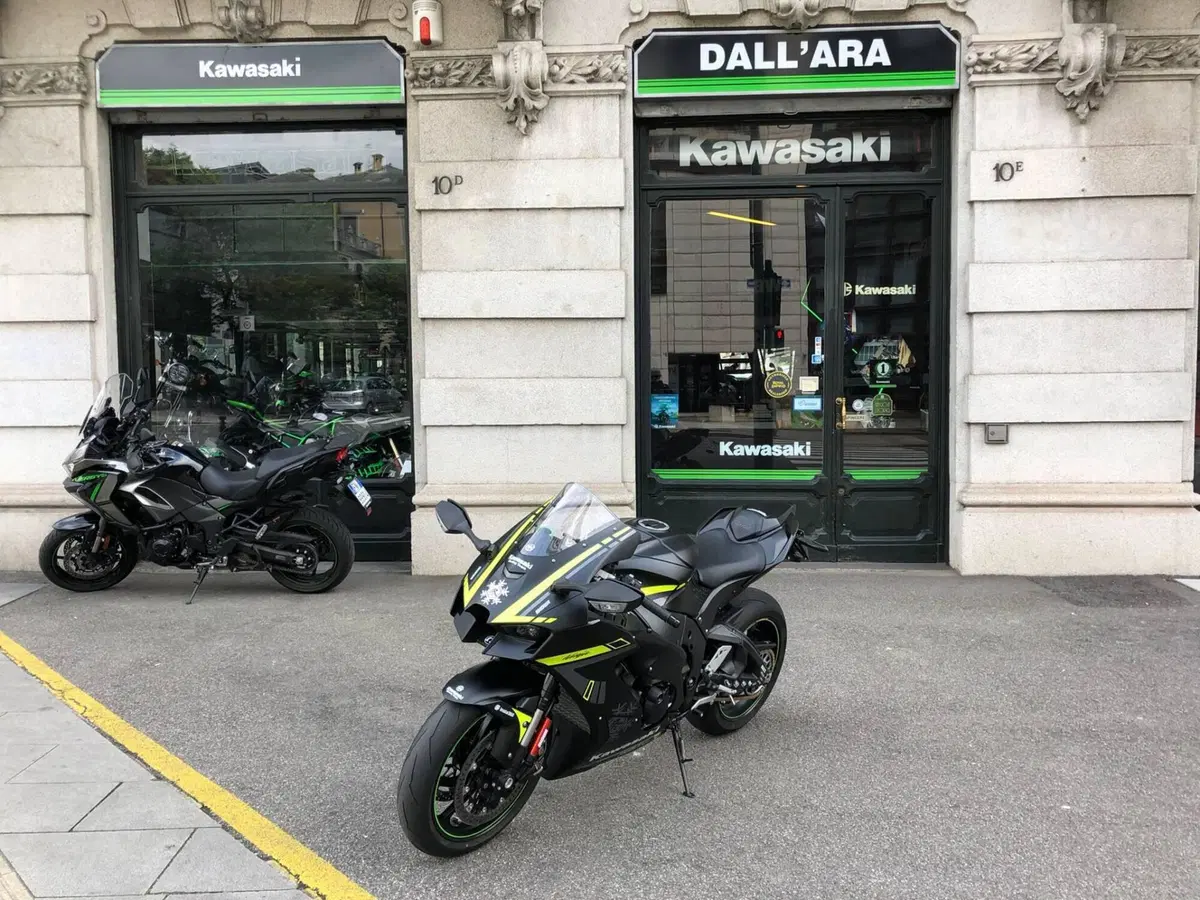 Kawasaki Ninja 1000 ZX-10RR "Winter Test" Limited Edition (2024) (3)