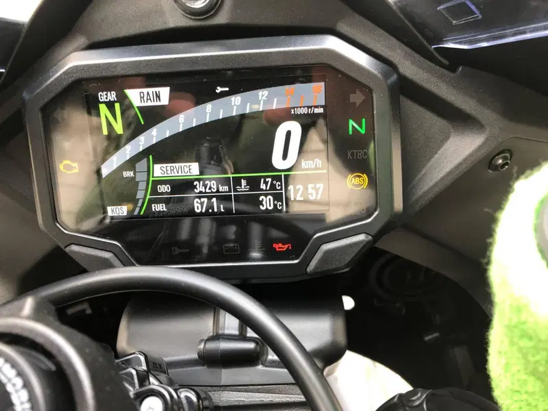 Kawasaki Ninja 1000 ZX-10RR "Winter Test" Limited Edition (2024) (4)