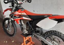 Betamotor RR 450 4T Enduro (2006) usata