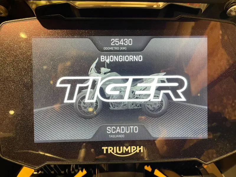 Triumph Tiger 900 GT Pro (2020 - 23) (6)