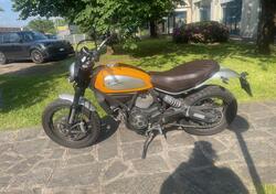 Ducati Scrambler 800 Classic (2015 - 16) usata