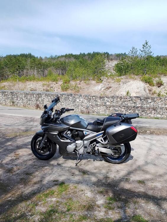 Suzuki GSF 1250 Bandit S Traveller (2006 - 11) (4)