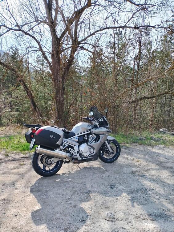 Suzuki GSF 1250 Bandit S Traveller (2006 - 11) (3)