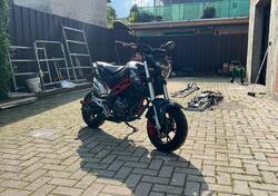 Benelli Tornado Naked T 125 (2017 - 20) usata