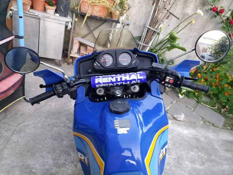 Yamaha XT 600 Z Tenerè (1990 - 92) (2)